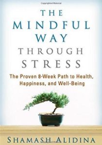 mindful-way-through-stress-book-cover